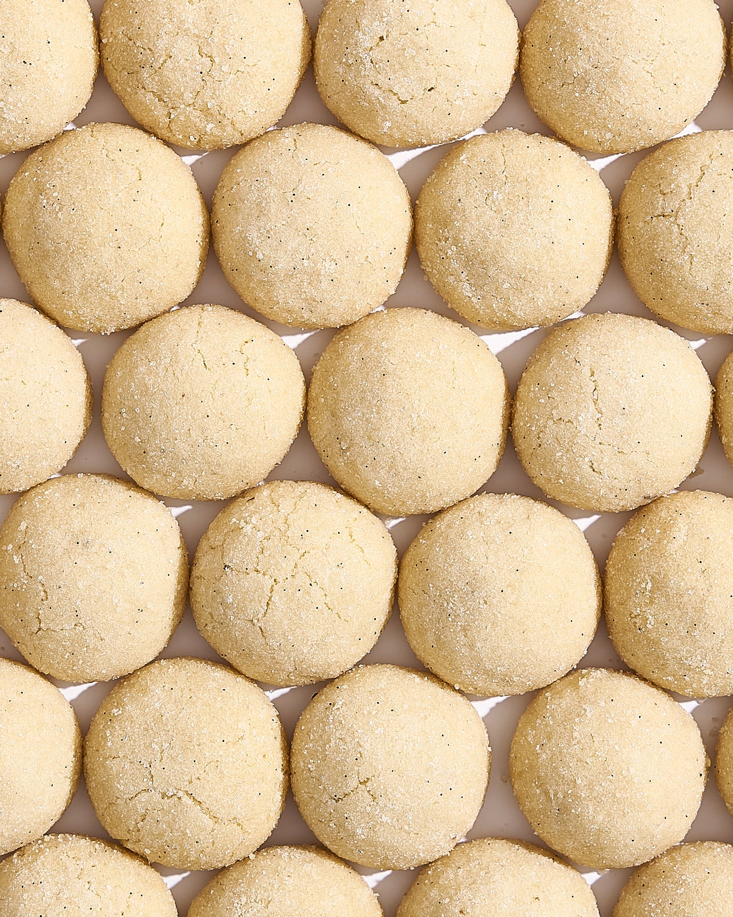Vanilla Bean Shortbread Buttons